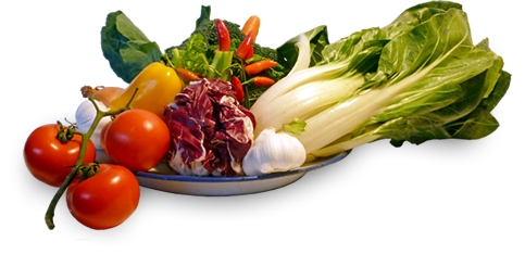 Kontakt Fill - Obst und Gemüse Engros